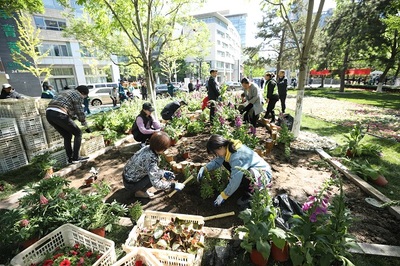 西城区组织金融街驻区单位开展花卉栽植体验活动